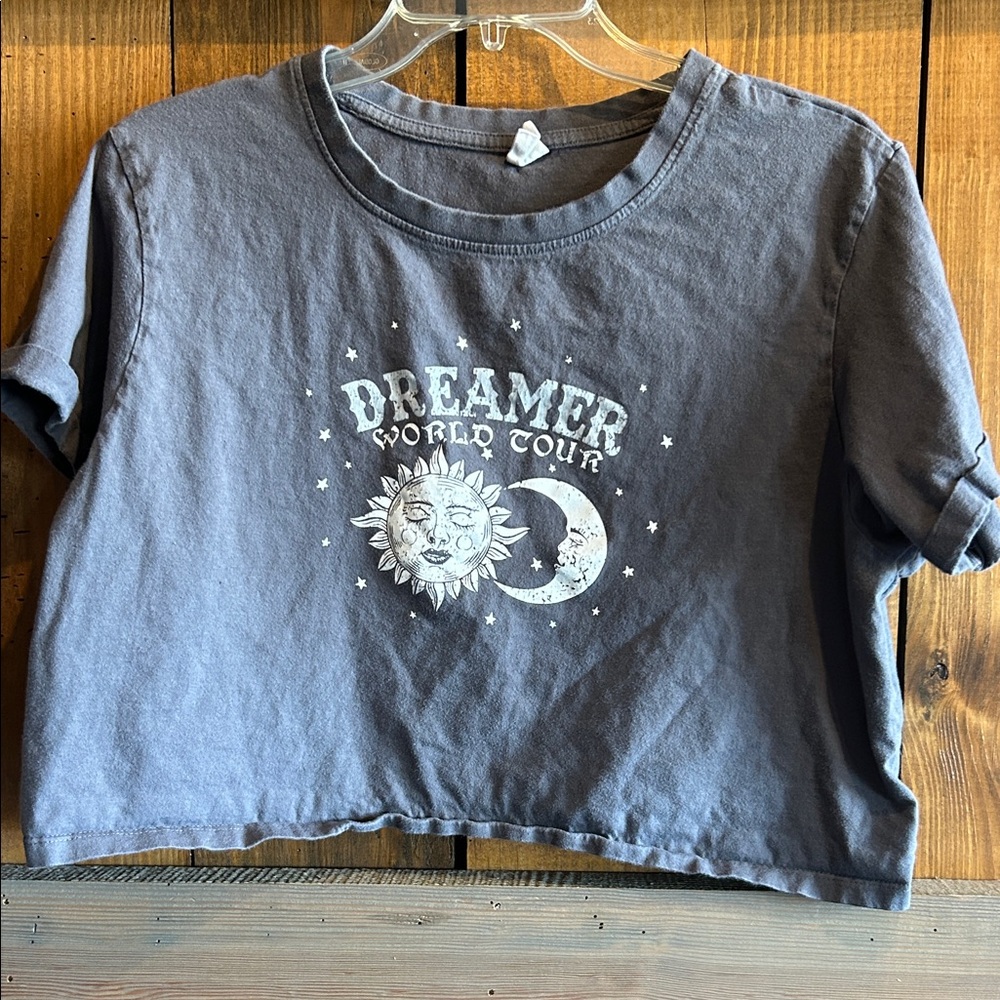 Dreamer World Tour Crop Top - Gray